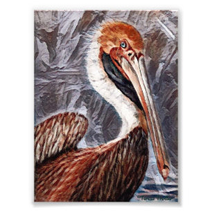 Foto Pelican Brief