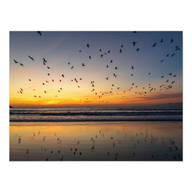 Foto Pelicans at Sunset - Venice Beach, CA (Frente)