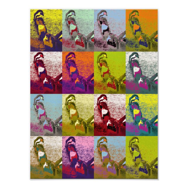 FOTO PENGUINOS (Frente)