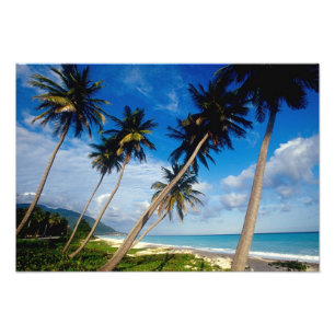Foto Península de La Samana, República Dominicana, 2