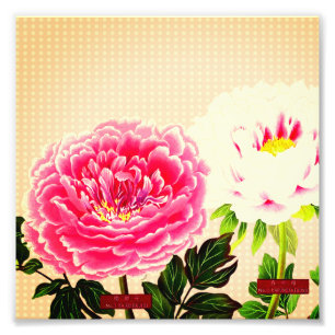 Foto peonías rosadas, flor vintage