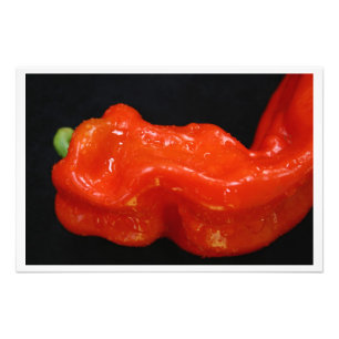 Foto Pepper de Campana Roja Fresca