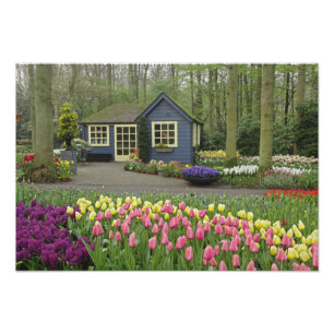 Foto Pequeña cabaña de tienda de flores, Jardines Keuke