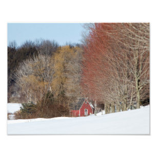 Foto Pequeña Casa Roja