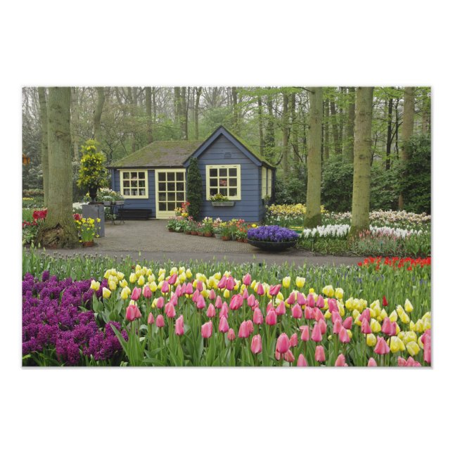 Foto Pequeña floristería de cabaña, Keukenhof Gardens, (Frente)