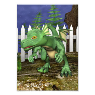 Foto Pequeño Dragón