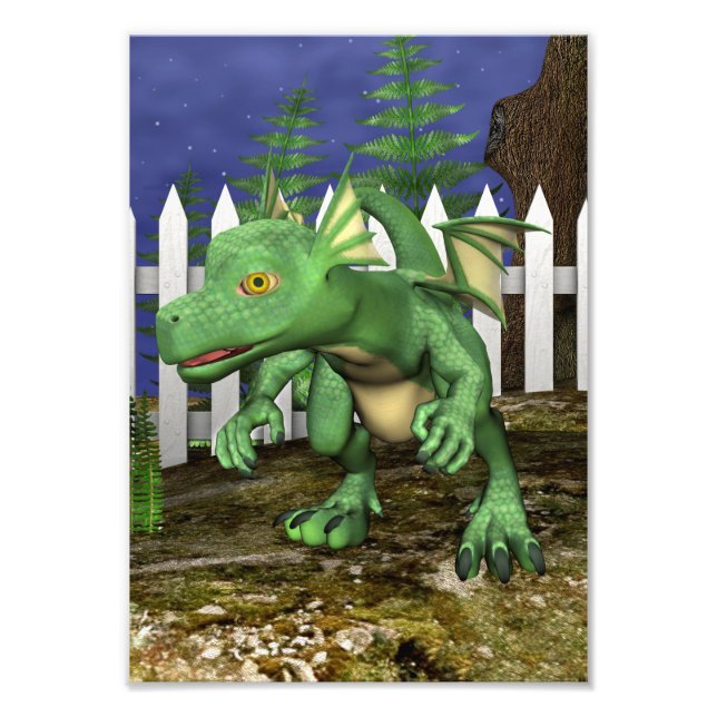 Foto Pequeño Dragón (Frente)