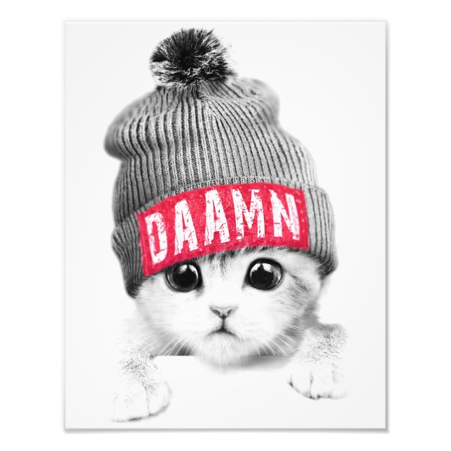 Foto Pequeño gato (Frente)