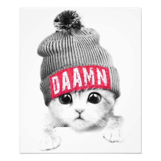 Foto Pequeño gato (Frente)