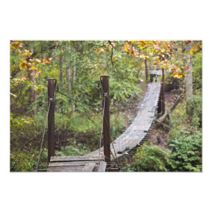 Foto Pequeño puente colgante, National Coal Heritage