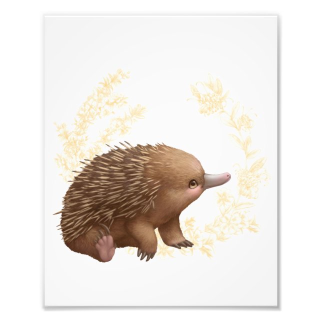 Foto Pequeños amigos australianos - Echidna (Frente)