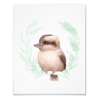 Foto Pequeños amigos australianos - Kookaburra