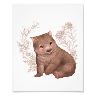 Foto Pequeños amigos australianos - Wombat