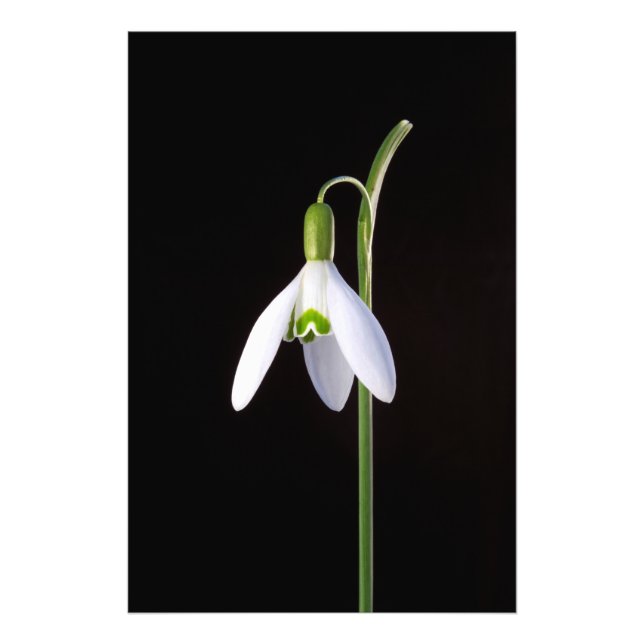 Foto Perfección individual (Frente)