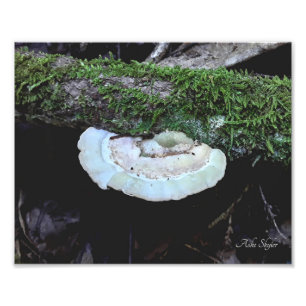 Foto Periodo de validez