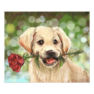 Foto Perrito romántico