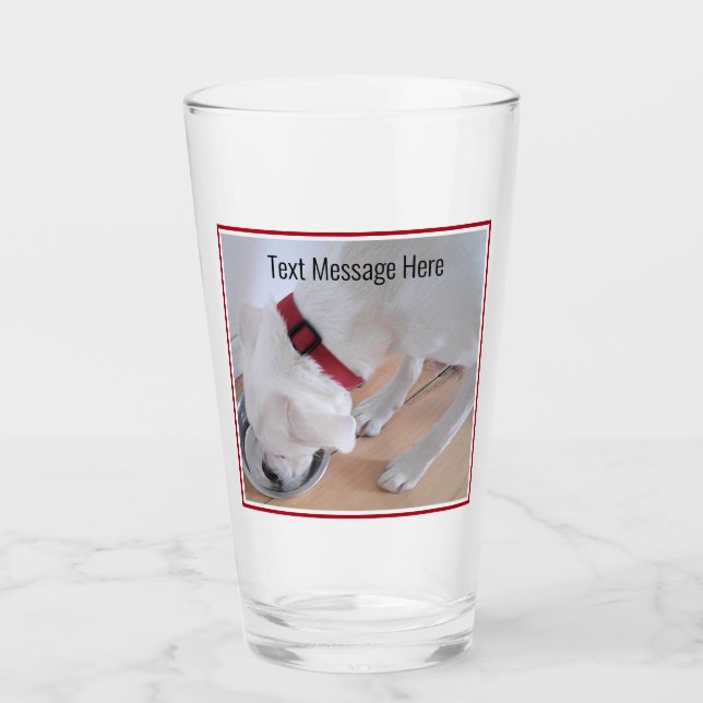 Foto: Perro blanco lindo que bebe agua se pone bie (Anverso)