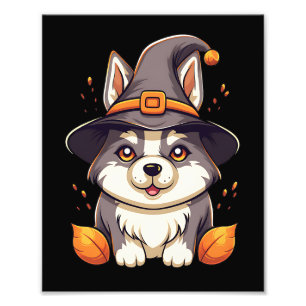 Foto Perro burlón en Halloween Gorra de bruja