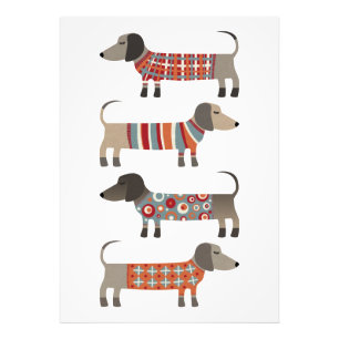 Foto Perro Dachshund Sausage