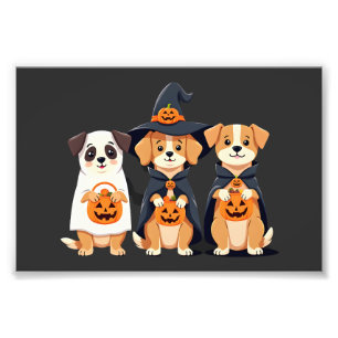 Foto Perro de Agua Retriever Fantasma Halloween Truco o