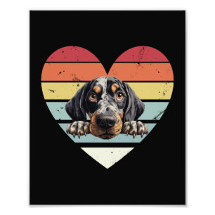 Foto Perro de cola de Bluetick