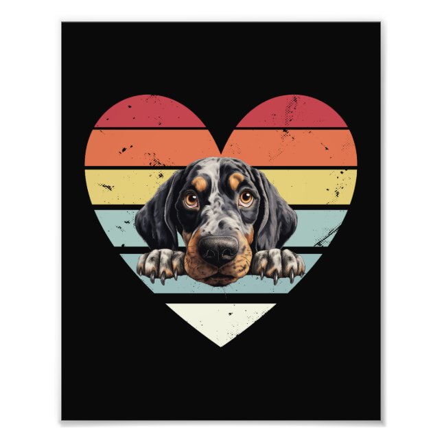 Foto Perro de cola de Bluetick (Frente)