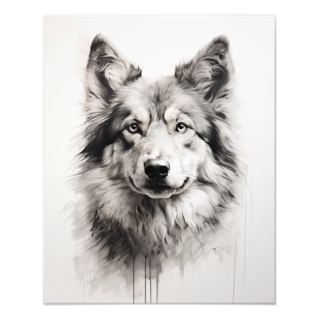 Foto Perro de espíritu libre negro y blanco (Frente)