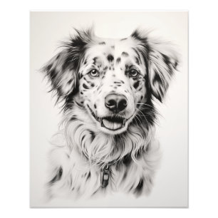 Foto Perro de espíritu libre negro y blanco