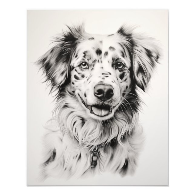 Foto Perro de espíritu libre negro y blanco (Frente)