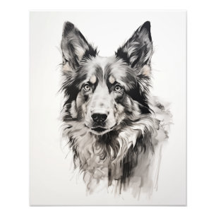 Foto Perro de espíritu libre negro y blanco