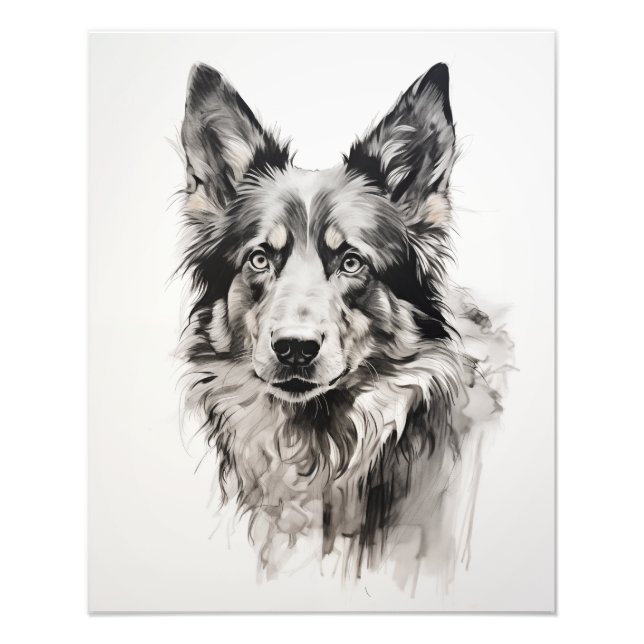 Foto Perro de espíritu libre negro y blanco (Frente)