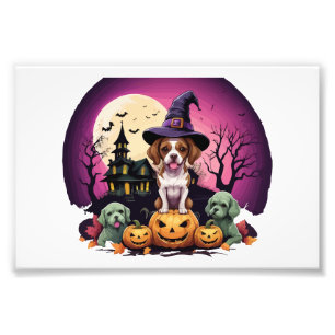 Foto Perro de Halloween Amantes del Otoño