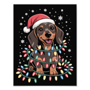 Foto Perro de Navidad Dachshund Santa Wiener