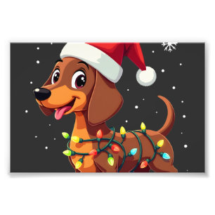 Foto Perro de Navidad Dachshund Santa Xmas Wiener 3