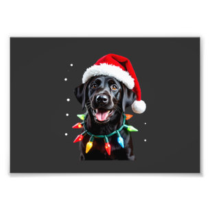 Foto Perro de pijama con luces de árbol de Navidad Labr