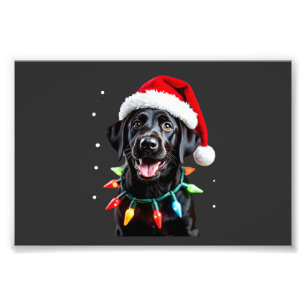 Foto Perro de pijama con luz de árbol de Navidad Labrad