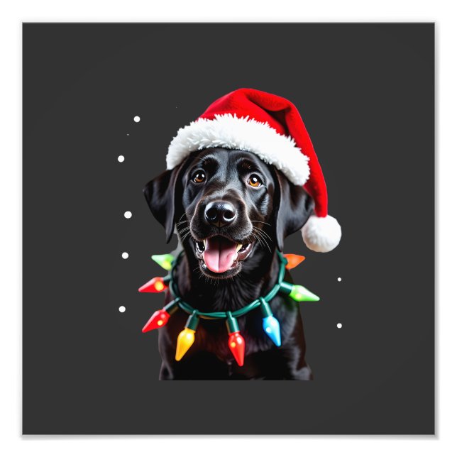 Foto Perro de pijama de luces de árbol de Navidad Labra (Frente)