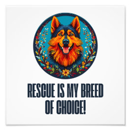 Foto Perro de refugio alemán