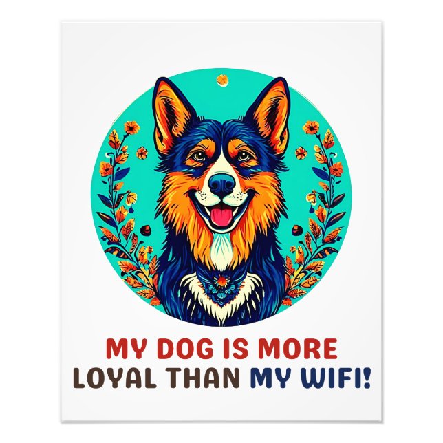 Foto Perro de refugio alemán (Frente)