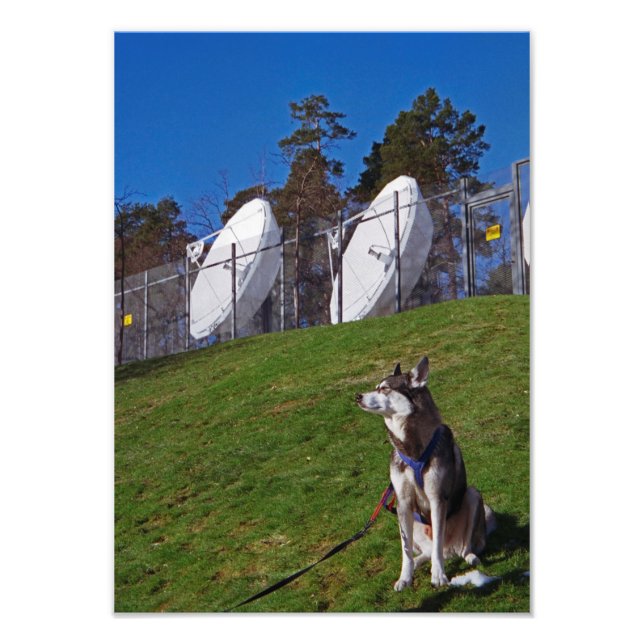 Foto Perro de seguimiento (Frente)