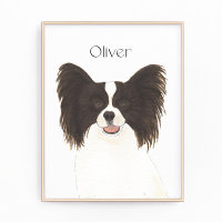 Perro del Papilón blanco y negro reversible person