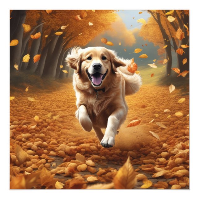 Foto Perro en ejecución en otoño deja arte impreso, art (Frente)