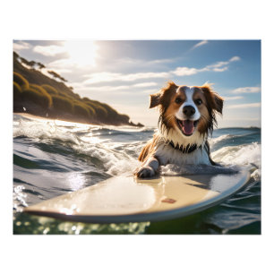 Foto Perro en la tabla de surf