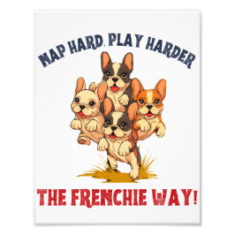 Foto Perro francés de Bulldog