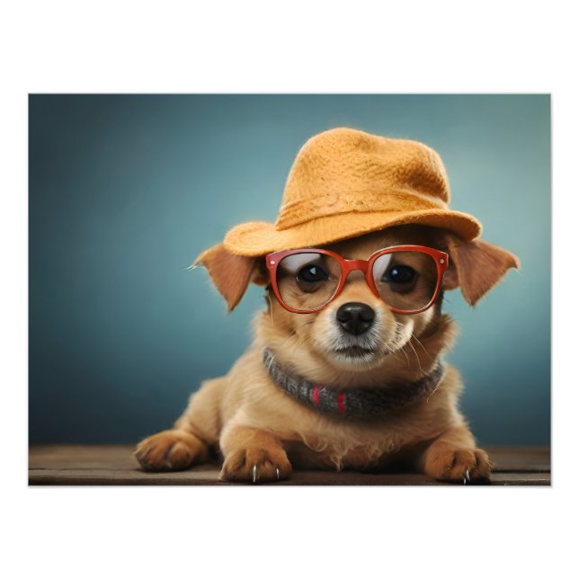 Foto Perro gracioso con gafas y gorra (Frente)
