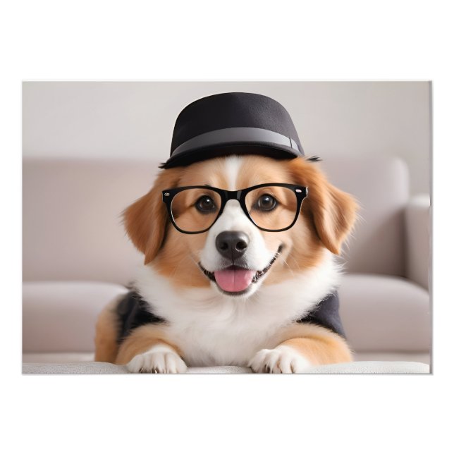 Foto Perro gracioso con gafas y gorra (Frente)