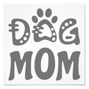Foto Perro Mamá