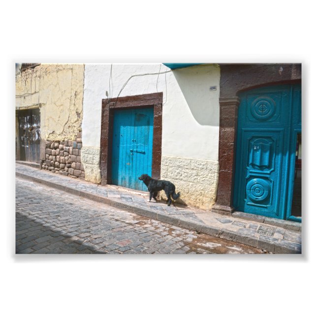 Foto Perro negro en el Cusco, Perú (Frente)