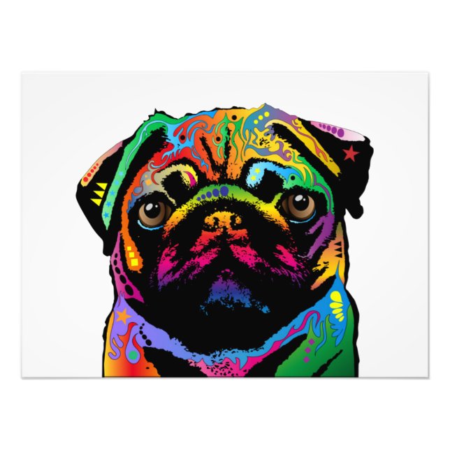 Foto Perro Pug (Frente)