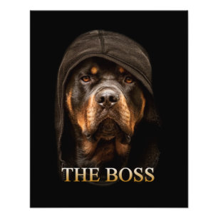 Foto Perro Rottweile